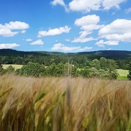 In Markousovice For 9 Persons Near Adspach Velke Svatonovice