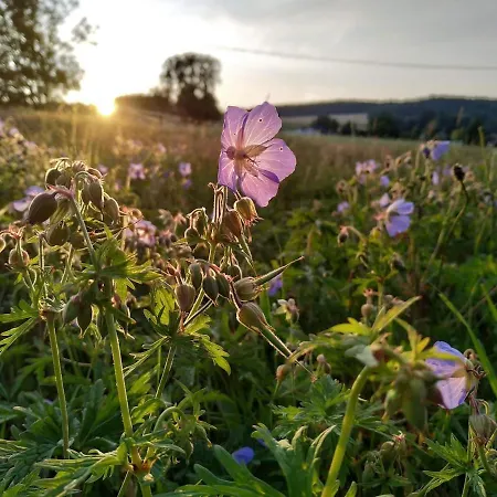 In Markousovice For 9 Persons Near Adspach Lägenhet Velke Svatonovice